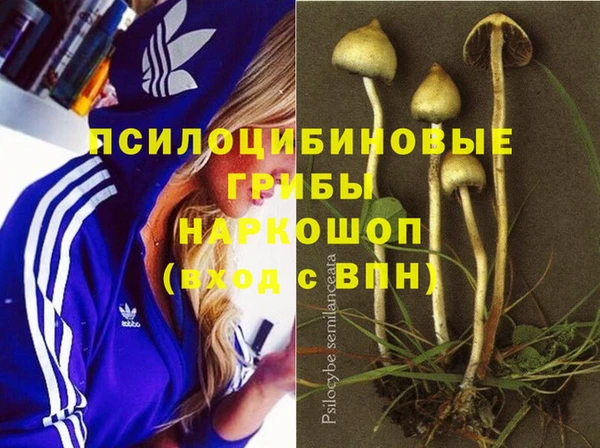 кокаин Богородицк